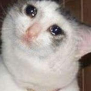 Meet your Posher, Jack